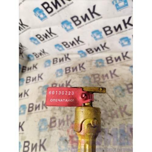 Щуп масляный DAF 106 181944 с рубашкой (223)-3