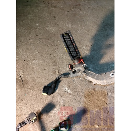 Проводка двигателя DAF 106 181944 (311)-3