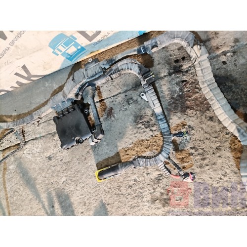 Проводка двигателя DAF 106 181944 (307)-2