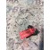 Клапан обратный топливный DAF 106 181944 (146)