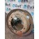 Диск колесный 9.00 R22.5 DAF 95 577947 (473)