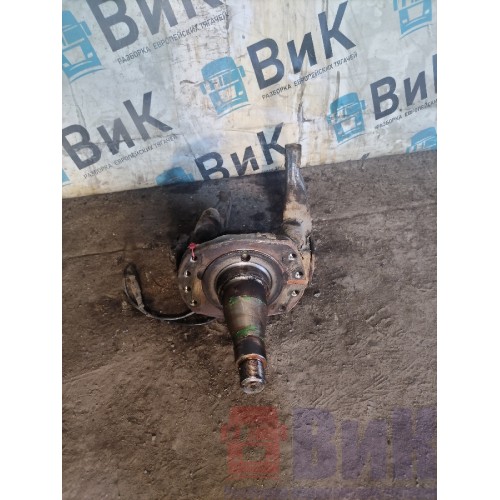 Цапфа (кулак поворотный) DAF 95 577947 (конус. подшип.) LH (037)