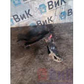 Опорный диск DAF 95 577947 Е-2 перед. в сб с креплением под тормозную камеру LH (089)