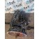МКПП MAN TGX 039293 12S2220TD 16.41-1.00 (072)