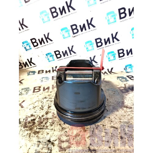 Поршень DAF 85 CF 175314 (790)