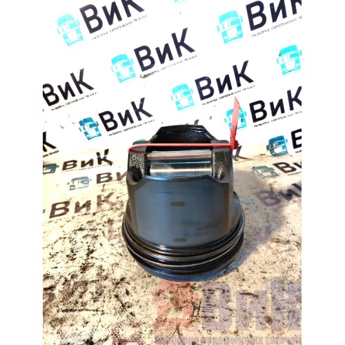 Поршень DAF 85 CF 175314 (789)