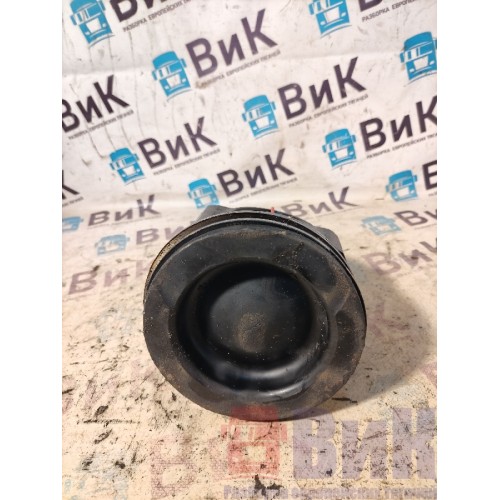 Поршень Renault Premium DXI 11 074346 (924)-1