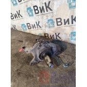 Цапфа (кулак поворотный) DAF 85 CF 175314 LH (885)