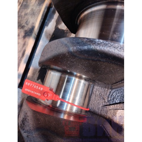 Коленчатый вал (коленвал) Volvo FH 4 732456 D13K (540)-2