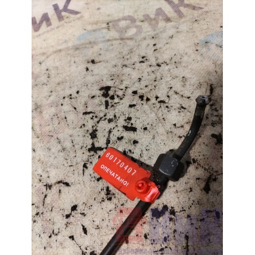 Трубка топливная (морковка) DAF 105 XF 943531 (407)-1