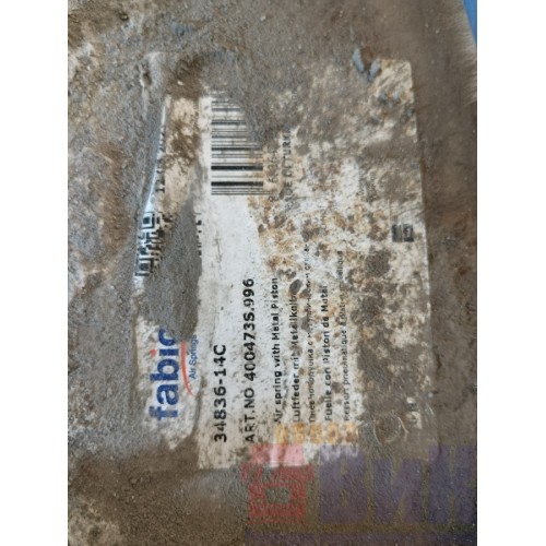 Пневмоподушка заднего моста DAF 85 CF 935508 (366)-1