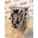Головка блока цилиндров (ГБЦ) Scania R440 PDE 0884711 (356)