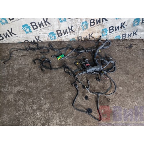 Проводка двигателя Renault T DTI 11 003088 (718)