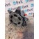 Привод вискомуфты MAN TGA  D2066 LF 01 458073 (887)