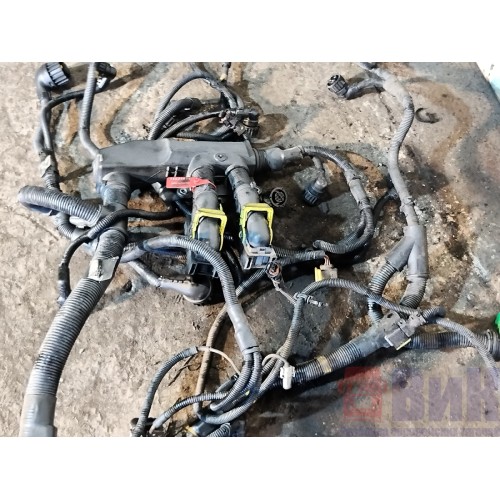 Проводка двигателя Renault T 007618 DTI 11 (874)-5