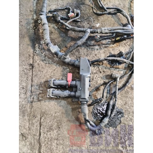 Проводка двигателя Renault T 001057 DTI 11 (855)-2
