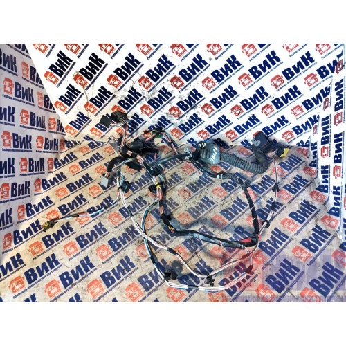 Проводка двери Renault T 002550 LH (271)
