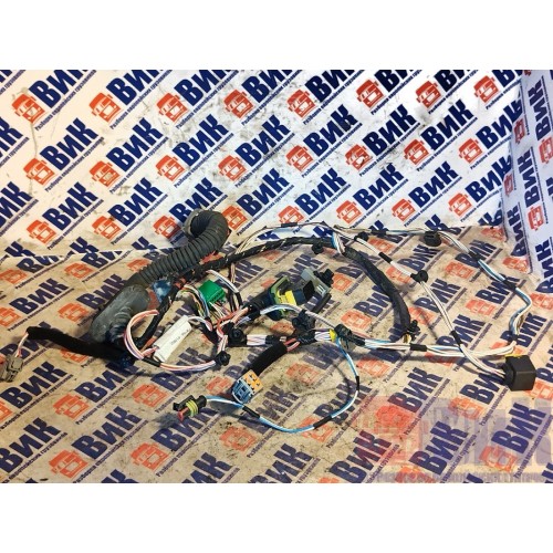 Проводка двери Renault T 002550 RH (054)