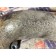 Патрубок с корпуса помпы на ретарду MAN D2676 LF01 191720 (969)