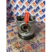 Поршень Renault Mack 390 Magnum 008198 (894)