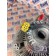 Вискомуфта (термомуфта) MAN D2066 LF57 №50537001133703 (672)