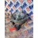 Привод вискомуфты DAF 105 МХ340 №А168677 (500)
