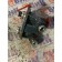 Подкачка топливная DAF 105 XF 460 914766 (338)