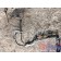 Проводка двигателя DAF 105 MX340 №А061486 (312)