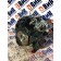 Топливный насос высокого давления (ТНВД) MAN D2066 LF40 №50529510812954 BOSCH (076)