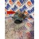 Подкачка топливная MAN D2066 LF40 №50529510812954 (079)