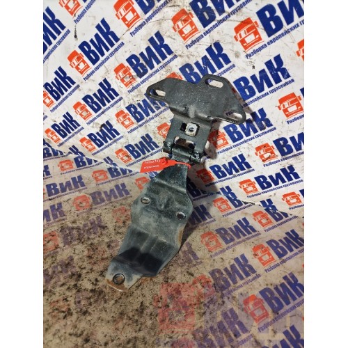 Петля капота MAN TGA 460698 ш.к. LH (798)