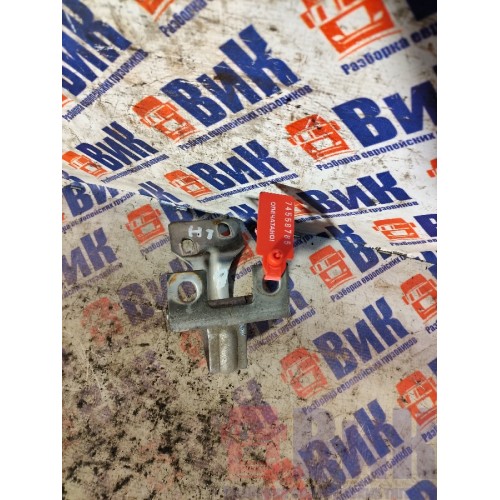 Петля инструментального ящика MAN TGA 460698 ш.к. LH (785)-1