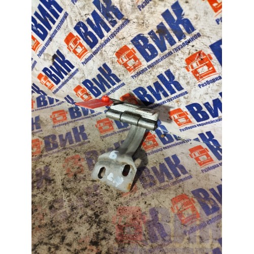 Петля инструментального ящика MAN TGA 460698 ш.к. LH (786)