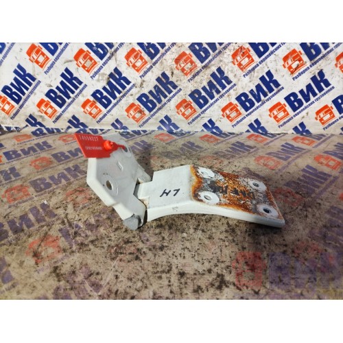 Петля двери DAF 106 049232 LH (227)-3