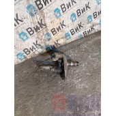 Цапфа (кулак поворотный) DAF 85 CF 532175 LH (009)