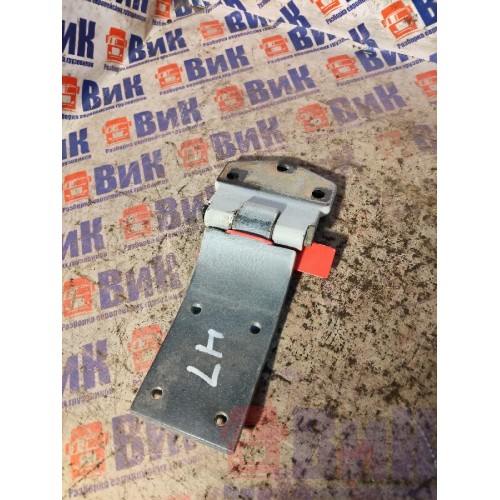 Петля двери DAF 105 LH (917)-3