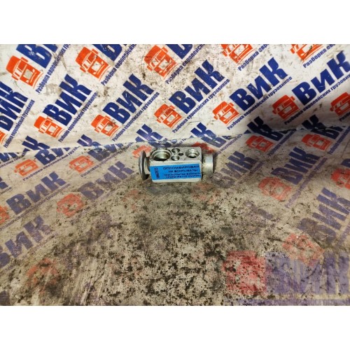 Расширительный клапан кондиционера DAF 105 (673)