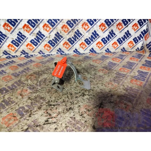 Петля инструментального ящика MAN TGA 439195 LH (962)-1