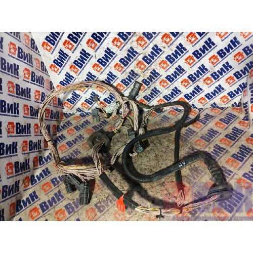 Проводка двери MAN TGS н.к. RH (882)