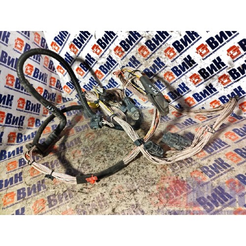 Проводка двери MAN TGS н.к. RH (882)-10