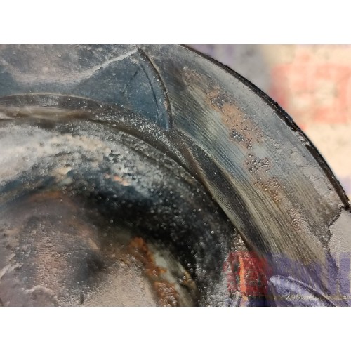 Поршень DAF 105 MX340 066824 (846)-6