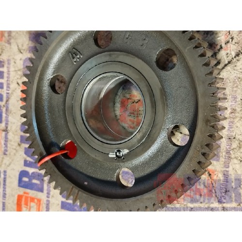 Шестерня ГРМ промежуточная DAF 105 MX340 066824 (842)-6