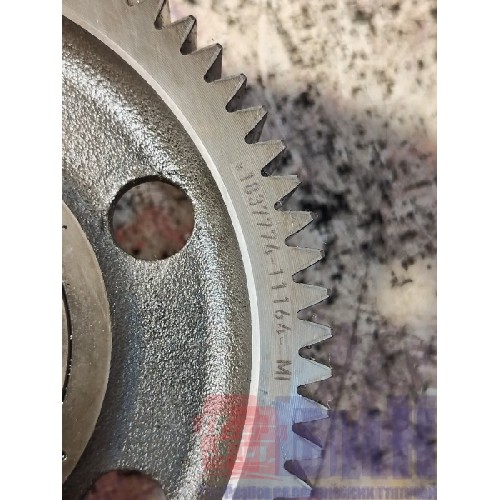 Шестерня ГРМ промежуточная DAF 105 MX340 066824 (842)-1