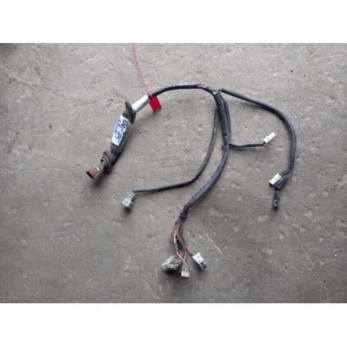 Проводка двери DAF 95 LH (617), 160869002