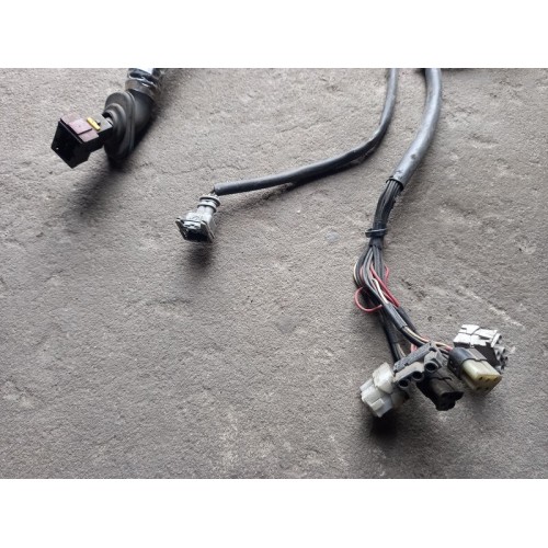 Проводка двери DAF 95 LH (617), 160869002-2