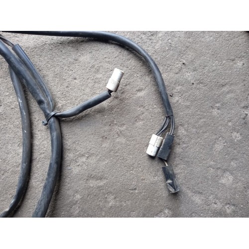 Проводка двери DAF 95 LH (617), 160869002-1