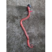 Маслозаливная горловина Scania (959)