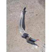 Кронштейн замка крыла Scania  R440 XPI 294144 LH (420)