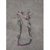 Проводка двери MAN TGX LH (357)