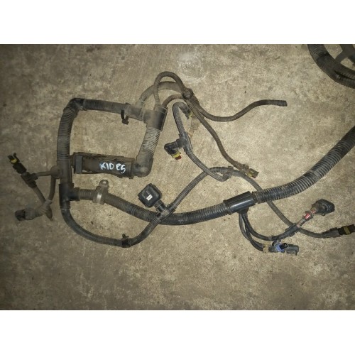 Проводка двигателя Iveco Stralis деф. (834), 41244340-5